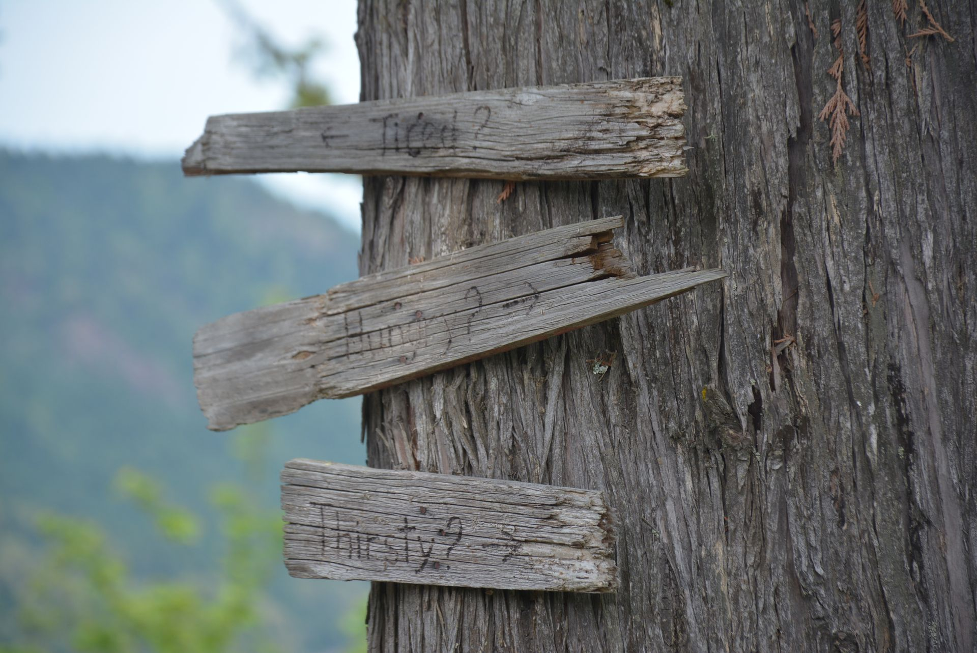How to Choose Marketing Channels When You Can’t Do Everything