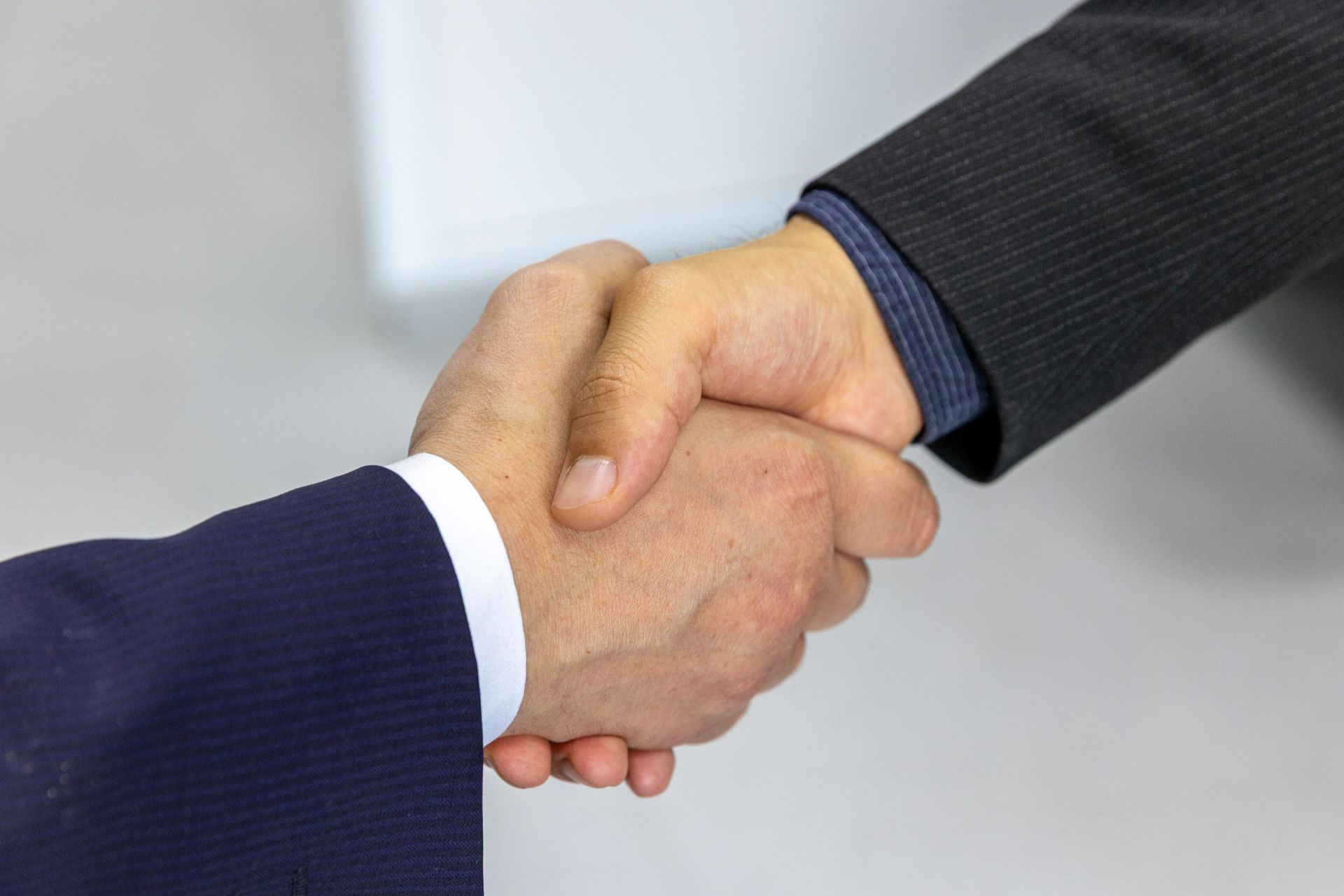 Business handshake between two professionals
